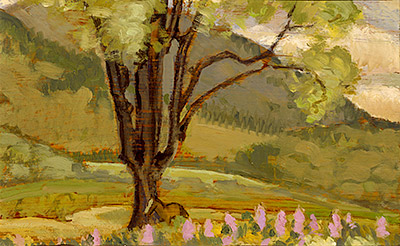 Landscape. We can see a tree in the summertime lined with lilac flowers and a mountain in the background.