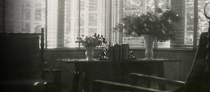 Southwest corner of the ground floor inside the house where we can see furniture and plants near an illuminated window.
